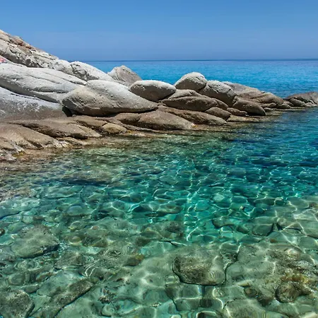 Dimora Del Golfo, 300mt From Procchio Apartment *
