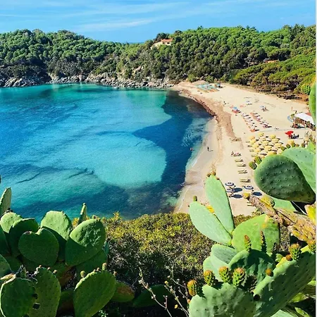 Apartment Dimora Del Golfo, 300mt From Procchio *